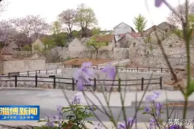 「乡村美学的淄博实践」搭岭村：石头房石头墙 炊烟袅袅农家美图片