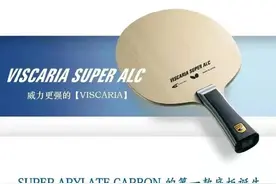 Viscaria Super ALC的7个问题图片