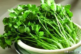 补药一堆，不如香菜一把！80岁老妈教我做香菜，补充维生素有营养图片