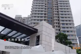 海花岛幕后推手：书记落马，儿子成"红通"图片