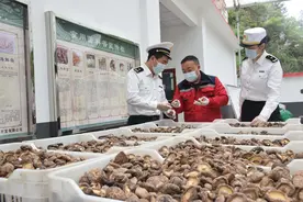 香菇首次出口海外 重庆城口实现近五年外贸零的突破图片