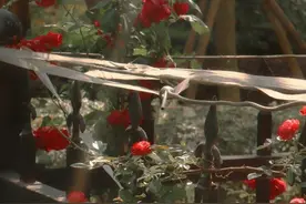 微信置顶文案合集图片