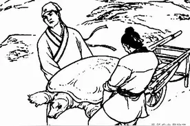 民间故事：男子捉到千年老龟，老龟：烧光南山的柴也煮不熟我图片