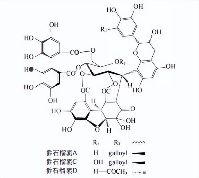 植物功效成分-鞣质