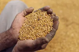 全球饥饿指数发布，印度排107位，引印政府怒批，中国排名多少？图片