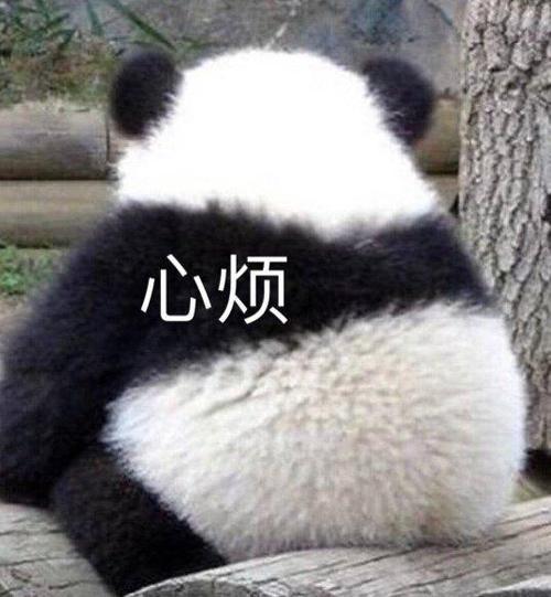 治愈系壁纸:让烦躁的心静下来(心烦 图) - 冷求网