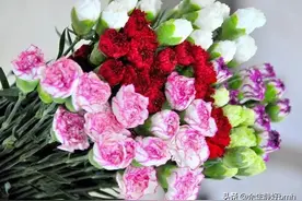 您知道母亲节的来历吗？图片