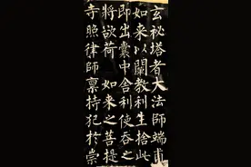 “颜筋柳骨”都是笔力强劲，颜真卿和柳公权，到底有何不同？图片