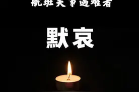 3.21空难感怀图片