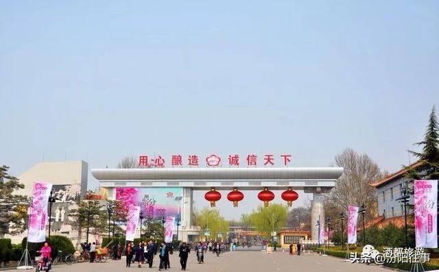 汾阳往事｜殷维明：杏花村游记——汾酒工业园林赏杏花