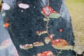 洛阳的这种奇石很少人玩过，一块卖到十几万图片