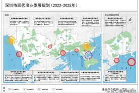 来了，都是深圳鱼！深圳宣布要为广东近80%的金枪鱼建一座国家级新地标图片