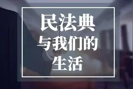 【走进民法典】代管猫咪生了小猫应一并归还给主人图片
