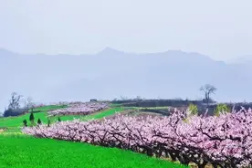 身弱之人保命的最好方式：持戒图片