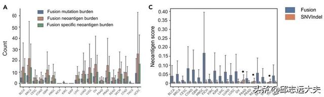 研究肿瘤必须知道的十一类肿瘤抗原