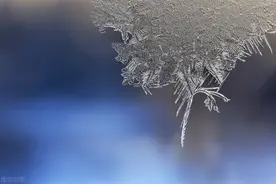 北部县及中南部山区已现今冬初霜，桂林这两天迎来最低气温过程图片