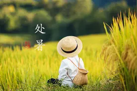 处暑｜袅袅秋风起 最美人间秋图片