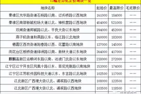 2幅流拍！31幅底价成交！5幅触顶！刚刚南京土拍，44幅地尘埃落地图片