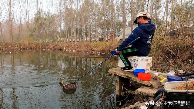 姘ㄥ熀閰告槸鍟ワ紵瀵归挀楸兼湁鍟ョ敤锛熸贰姘撮奔蹇呴』鐨?0绉嶆皑鍩洪吀璇﹁В