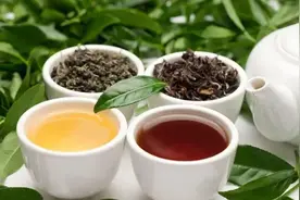 红茶和绿茶有何区别？为什么中国人更爱喝绿茶？你更喜欢喝哪种图片