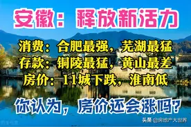 安徽5月报：合肥最强，芜湖爱消费，铜陵富，池州猛，11城房价跌图片