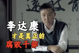 《人民的名义》李达康才是真正的腐败干部，他绝对不是白莲花图片