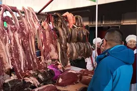 每年470匹马被宰杀，什么都吃的中国人，为什么基本不吃马肉？图片