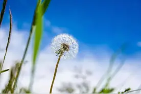 终行善举为乡梓图片