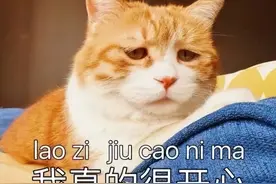 无奈表情包大全｜请查收图片