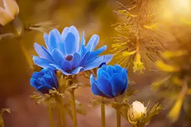 “滥情”的女人，有三个明显特征图片