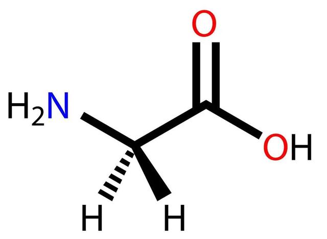 合成胶原蛋白的重要材料——氨基酸