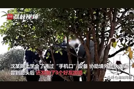 男子扮女生与兄弟网恋还骗钱图片