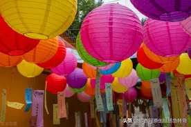 大哥树上叫，二哥把灯照，三哥睡大觉，四哥捉强盗（猜动物）图片