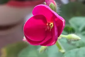 我的电脑情结，我是如何学会五笔打字的图片