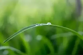 达照法师讲《大学》| 如何做个有德之人图片