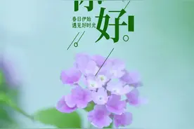 「美文美图」四月 | 愿一路繁花相伴，不负春光不负己图片
