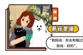 公狮向狮王老婆疯狂求爱，却惨遭胖揍…直到饲养员给它糊了个假的图片