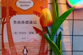 《鲁滨孙漂流记》：一个人荒岛求生的3个重要技能，学会不怕落单图片