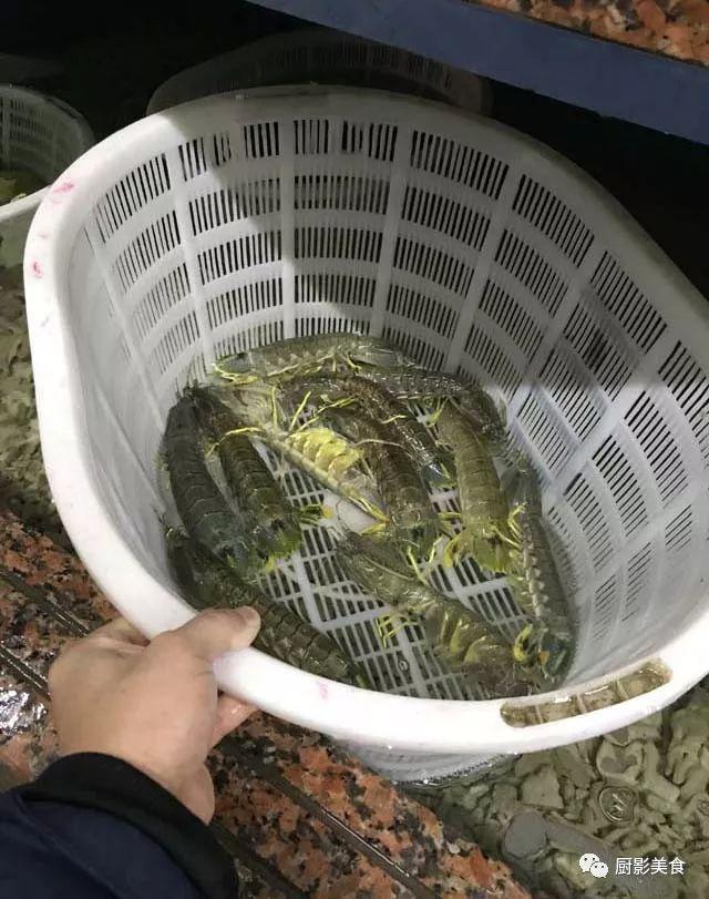 花胶选几级的 花胶等级顺序鱼胶排名大全
