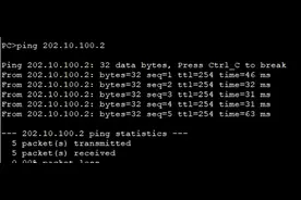 NAT（Network Address Translation，网络地址转换）简介及实验图片