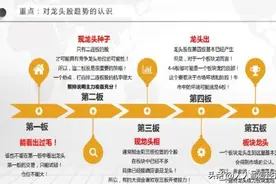 赵老哥成名绝技，二板定龙头（珍藏版）图片