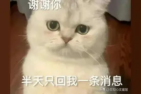 男友不回信息怎么怼的阴阳怪气图片