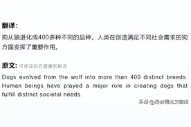 按头强推！这款完全免费的翻译神器让你彻底忘记谷歌翻译图片