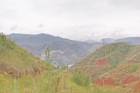 建行倾力帮扶 绿了青山富了乡亲 ——建设银行青海省分行助力乡村振兴系列报道（三）图片