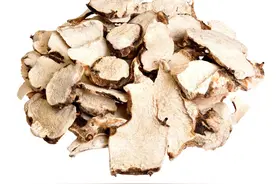 白术可以治疗骨质增生症，让医生告诉你这其中的原理图片