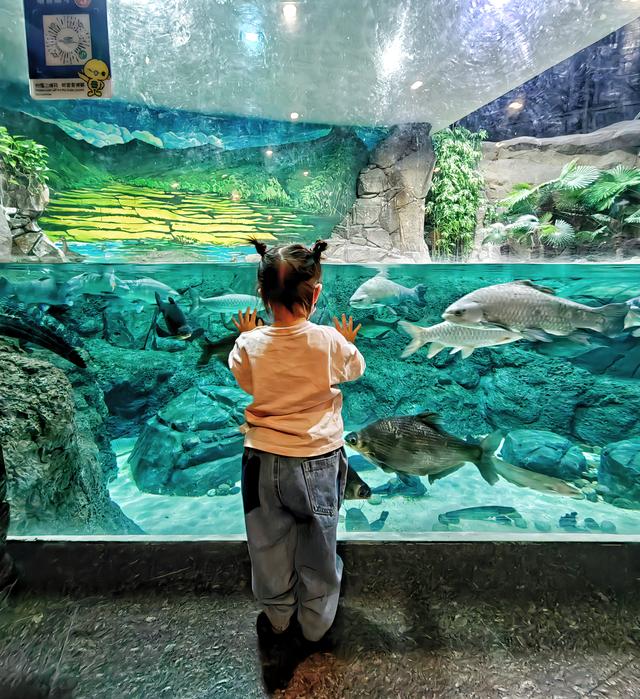 上海海洋水族馆遛娃攻略