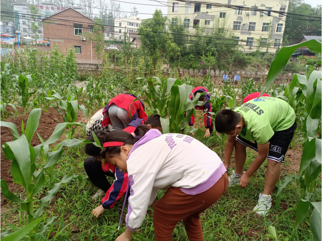 四川省民生研究会新媒体中心-官网