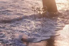 不喜欢女儿的性格，甚至讨厌她，该怎么办？图片