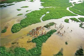 经济发达的江苏省拥有漫长的海岸线，为什么缺少大型港口呢？图片