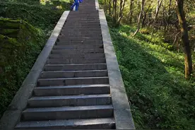 山重水复疑无路——浅谈中医治疗的馄饨汤图片